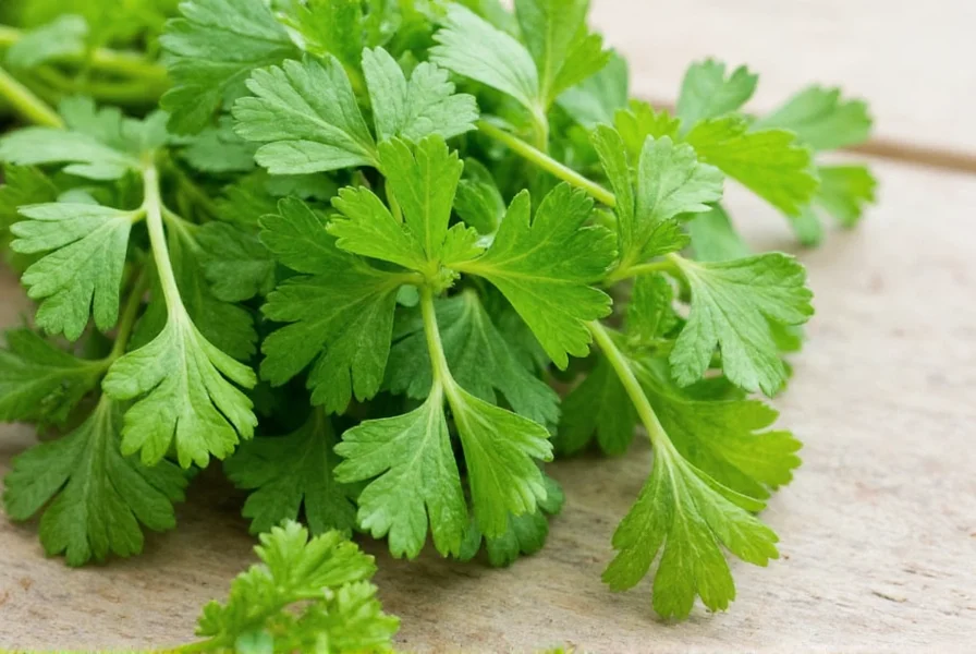 Spice rack featuring organic coriander