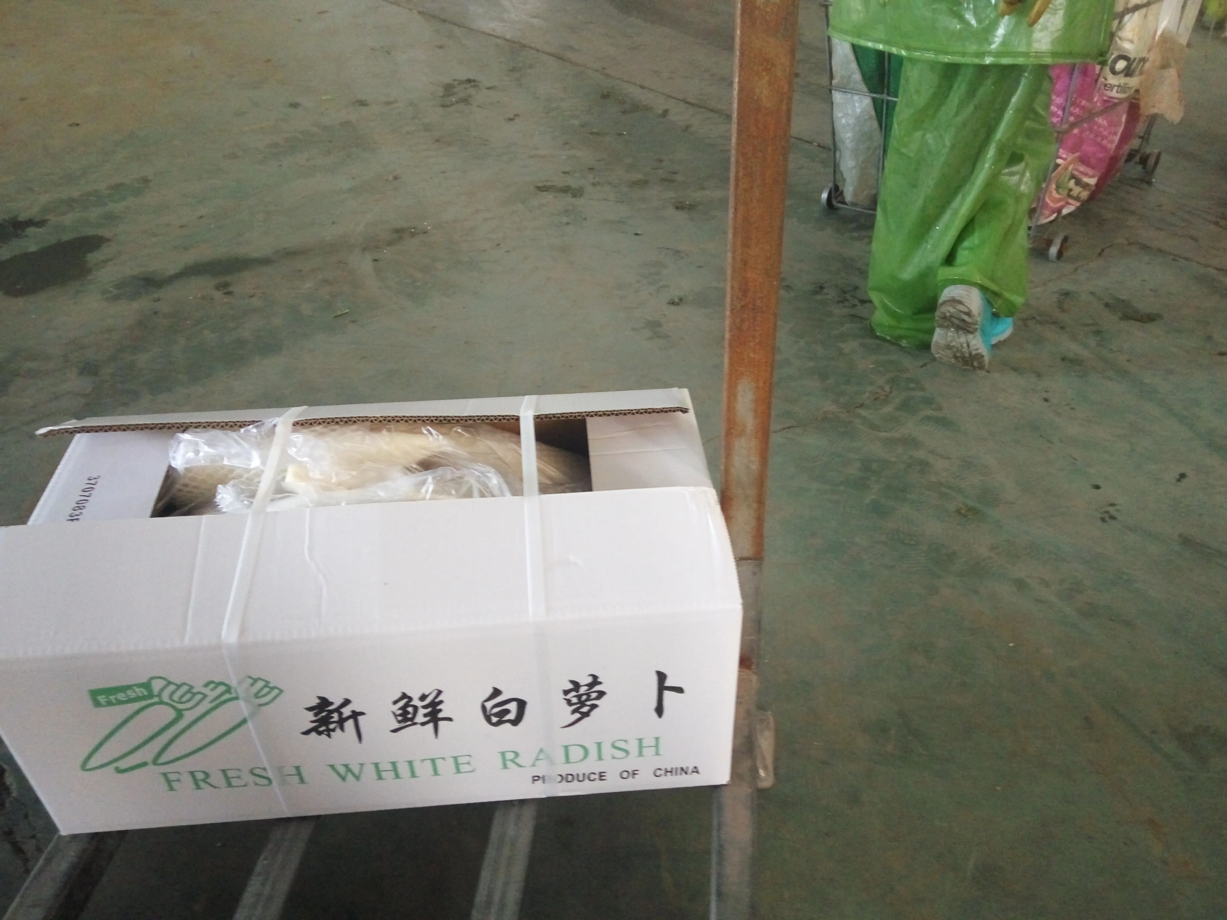 
chinese fresh white radish price 