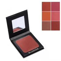 

Private Label Paper Box Material Single Color Blusher With Mirror