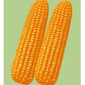 
corn starch for producing biodegradable disposable tableware and Egg tray 
