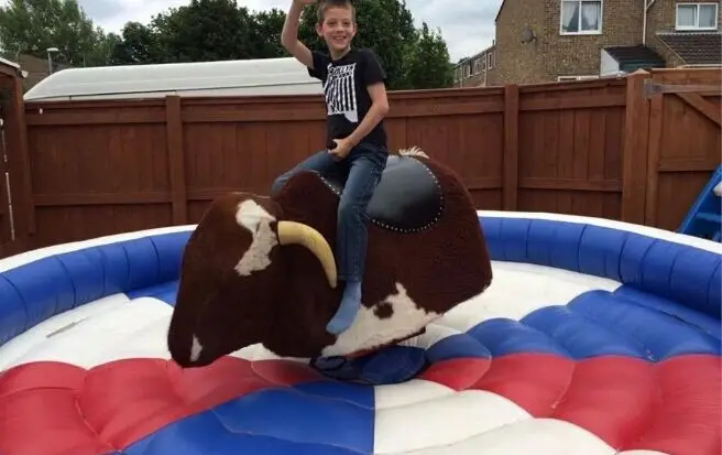 Round bouncy rodeo bucking bull mechanical bull machine riding