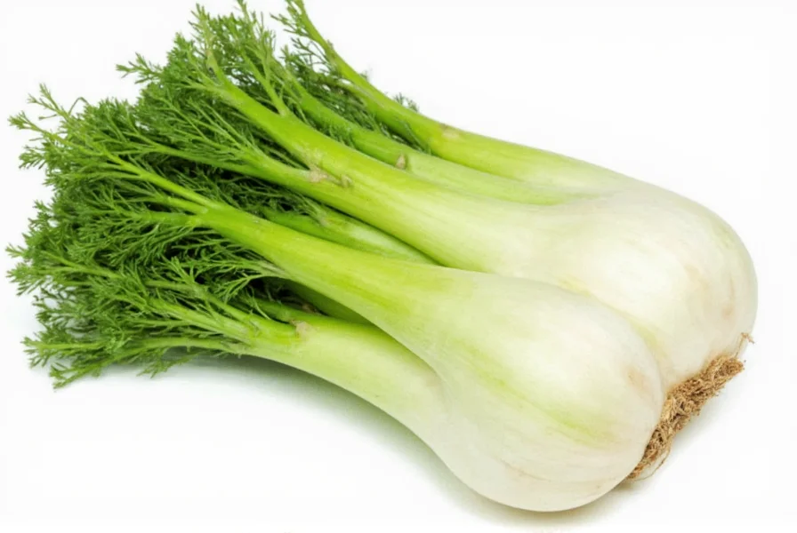 Best Fennel Bulb Substitutes: 5 Practical Alternatives