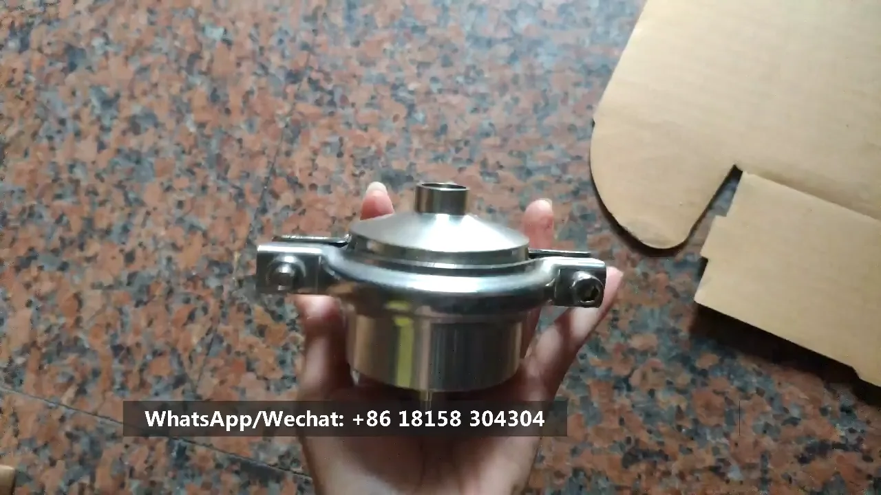 Санитарная Нержавеющая Сталь Ss304 Сварка Обратный Клапан Из ...