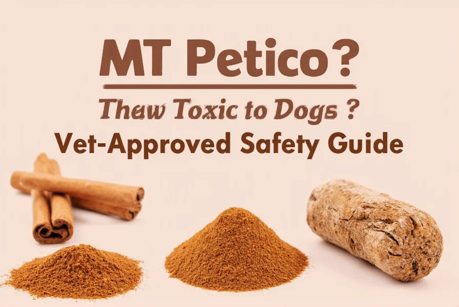 Veterinarian examining a dog after potential cinnamon exposure