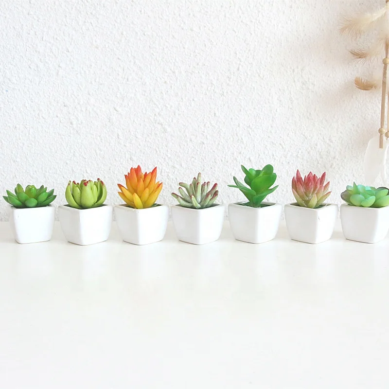 

QSLH-PE014 Artificial Succulents Ceramic Pots Home Decorative Plastic Flowers, Different colors available