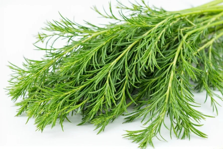 dill weed vs dill are they actually the same herb