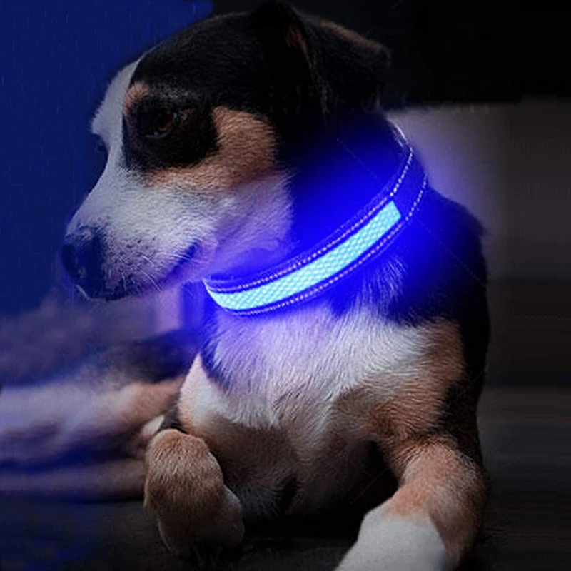 

Anti Lost Night Safety USB Rechargeable LED Glow Up Adjustable Nylon Pet Dog Collar For Small Big Dogs, Red,blue,green