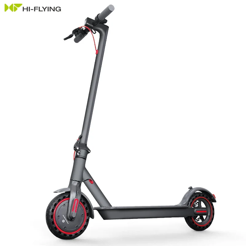 

Eco-flying OEM 2 wheels cruise control electric mobility scooter eu warehouse electric scooter, Dark grey