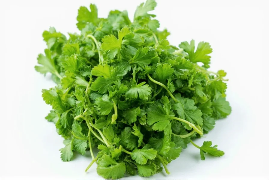 Traditional mortar and pestle with fresh cilantro leaves and whole coriander seeds being prepared for cooking
