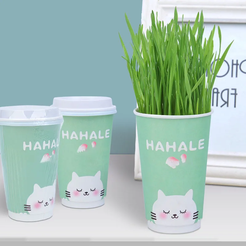 

Wholesale Vitamin Supplement Nutritious Fresher Clean Mouth Remove Hairballs Pet Cat Grass Cup, Green