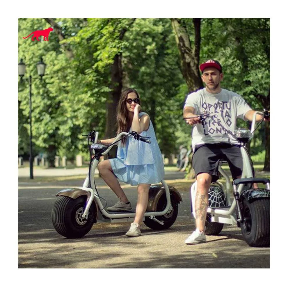 

2021 Hottest Electric Scooter 500W/800W/1000W Citycoco Scooter With CE Certificate Hot On Sale, 30+ colors to choose