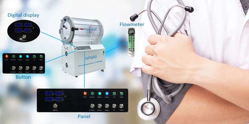 animal hyperbaric chamber