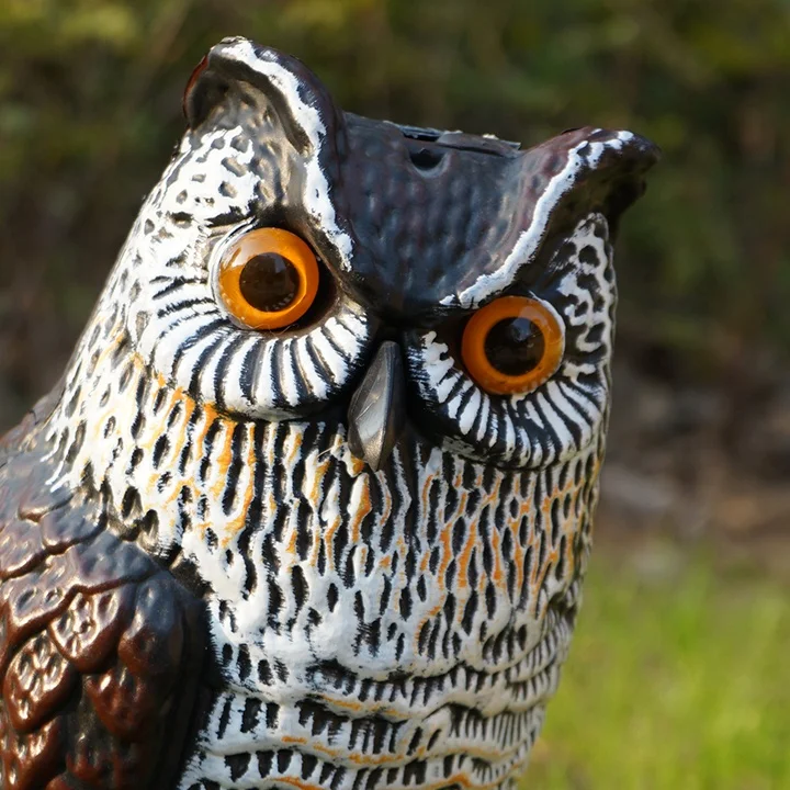 Solar Powered Plastic Owl Decoy To Scare Bird Plastic Owl Crow Bird