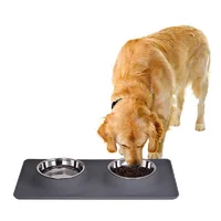 

Waterproof Double Dish Stainless Steel Dog Bowl with Non-Skid Pet Dog Mat