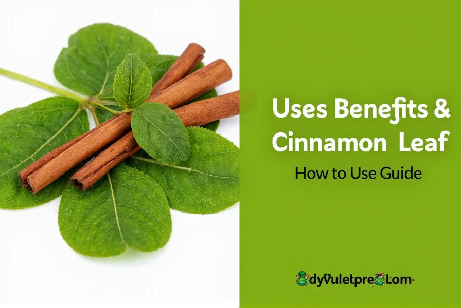 Cinnamon Leaf: Uses, Benefits & How to Use Guide