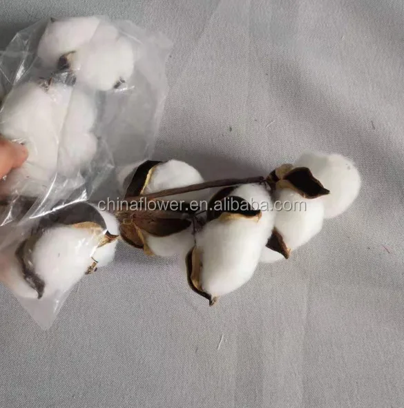 cotton stems garland  (3).JPG