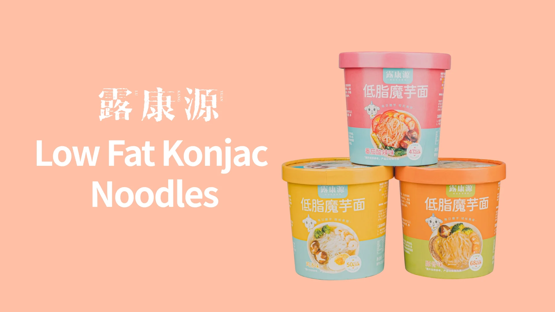 Viral Videos & Demos On Bulk Instant Konjac Noodles Shirataki Organic