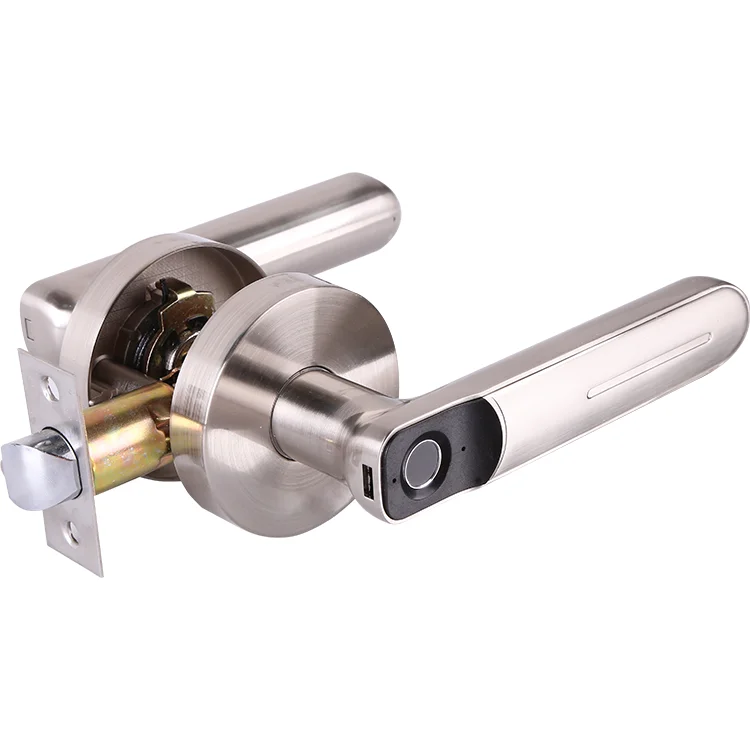
Family Hotel Office Building High Quality Zinc Alloy Electronic Fingerprint Door Lock 
