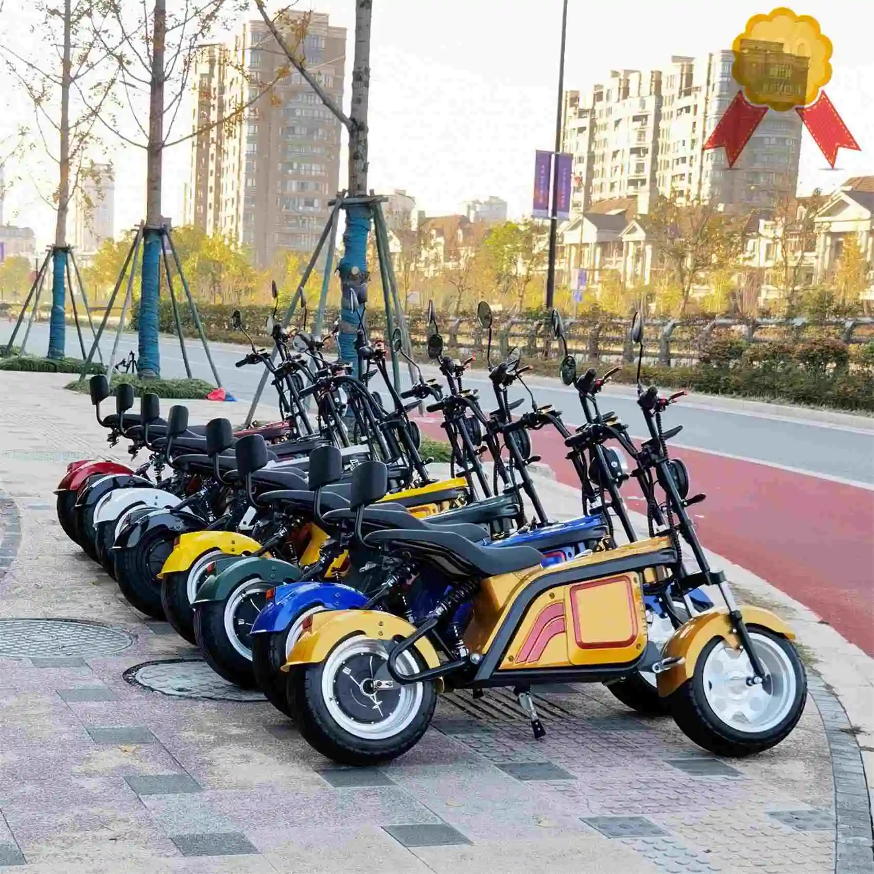 

Europe Warehouse2022 The Most Fashionable Citycoco 2 Wheel Electric