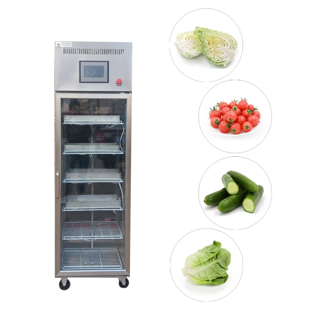 
Automatic salad vegetable planters, such as sesame, chicory and lettuce, come from sunlight machinery 
