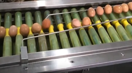 egg turning