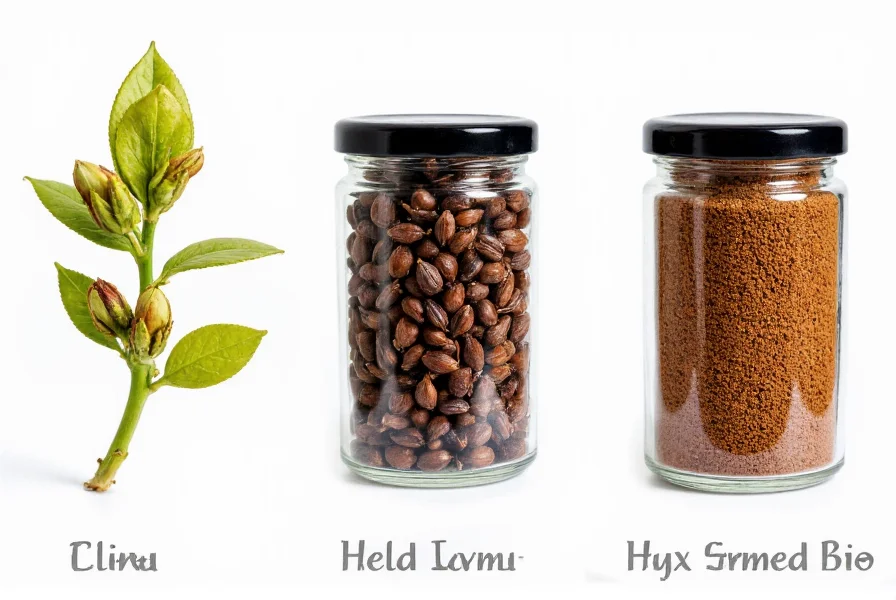 Comparison image showing fresh clove buds on tree, dried whole cloves, and ground cloves in spice jars