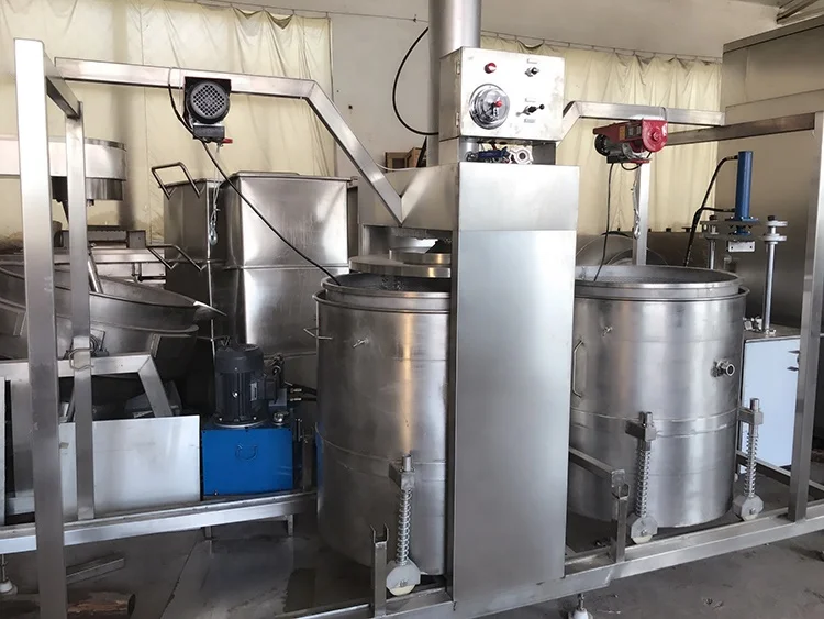 Hydraulic Type Noni Ferment Enzyme Leavening Noni Fruit Juice Machine ...