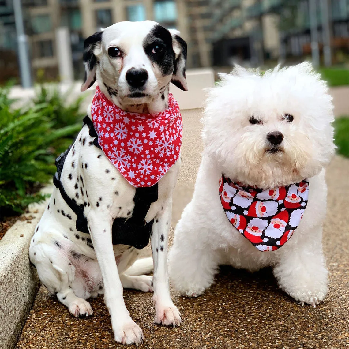 

Wholesale Pet Dog Bandana With Custom Logo Fashion Christmas Holiday Pet Dog Bandanas Scarf, Printed