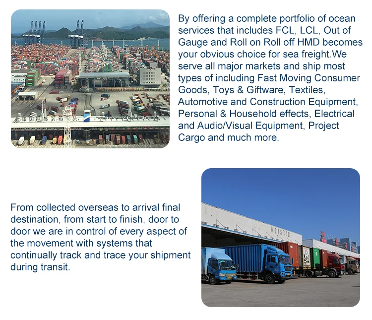 Global international sea freight forwarding service from Guangzhou China to Rotterdam Netherlands DDP DDU 