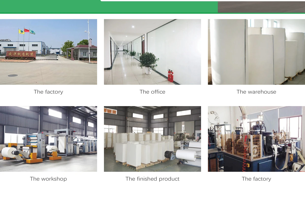 Anqing Shenghua Paper Packaging Co., Ltd. - Paper cups, paper cup fans