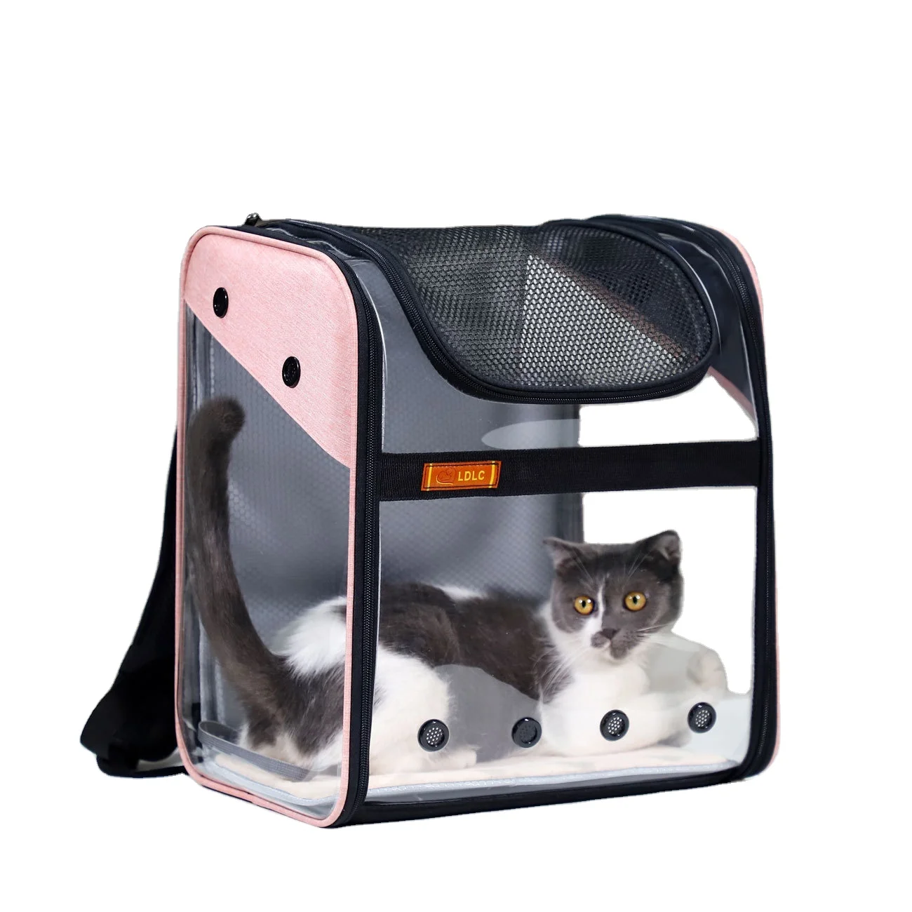 

2021 Hot Sale Outdoor PVC Foldable Travel Backpack Breathable Pet Cat Dog Carrier