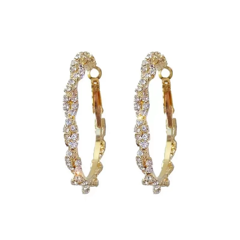 

Luxury Fashion 925 Sterling Silver Fine Needle Bling Bling Crystal Diamond Hoop Earrings For Women