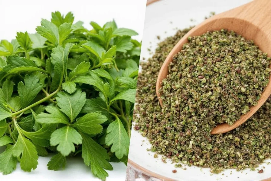 oregano vs mexican oregano what s the real difference between these earthy herbs