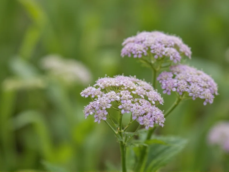 Dainty Flowers: Elegant Garden Additions Explained