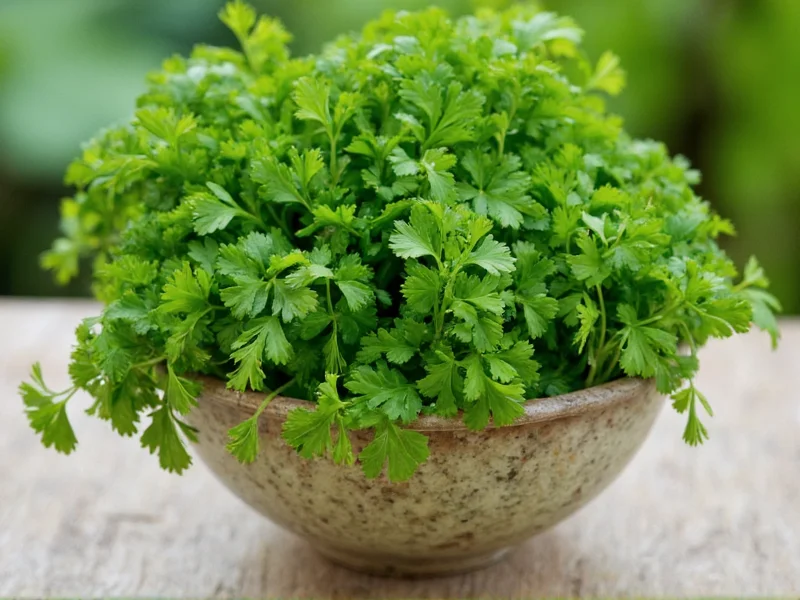 Fresh to Dried Parsley Conversion: Exact Substitution Ratio