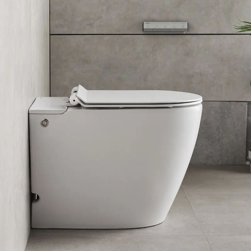 Germany Design Bravat Floor Standing Intelligent Toilet C21232uw 3 Eng Buy Floor Standing Intelligent Toilet Toilet Seat Stand Electronic Toilet Flush Product On Alibaba Com