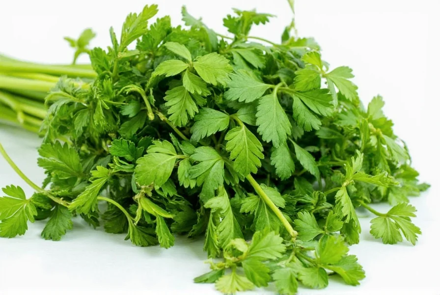 parsley power how to convert dried to fresh like a pro and save your kitchen