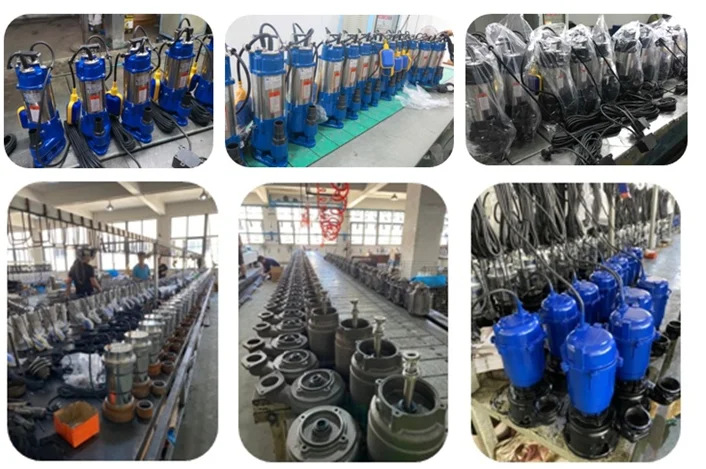 paste-pic-dp_uuid_5uo12