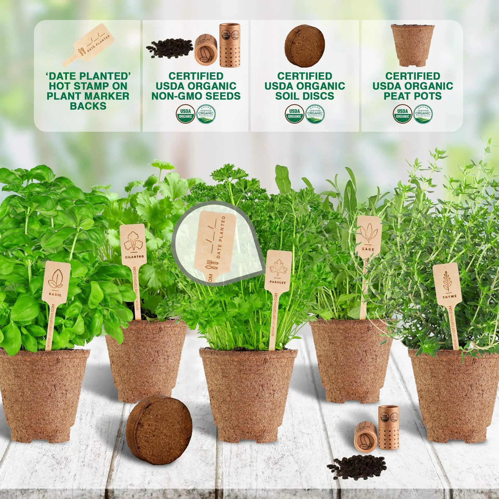 
Bonsai Starter Kit- DIY Indoor Bonsai Tree Seeds-Includes Pots Seeds Soil Pellets Markers Instruction Booklet Beginner Friendly 