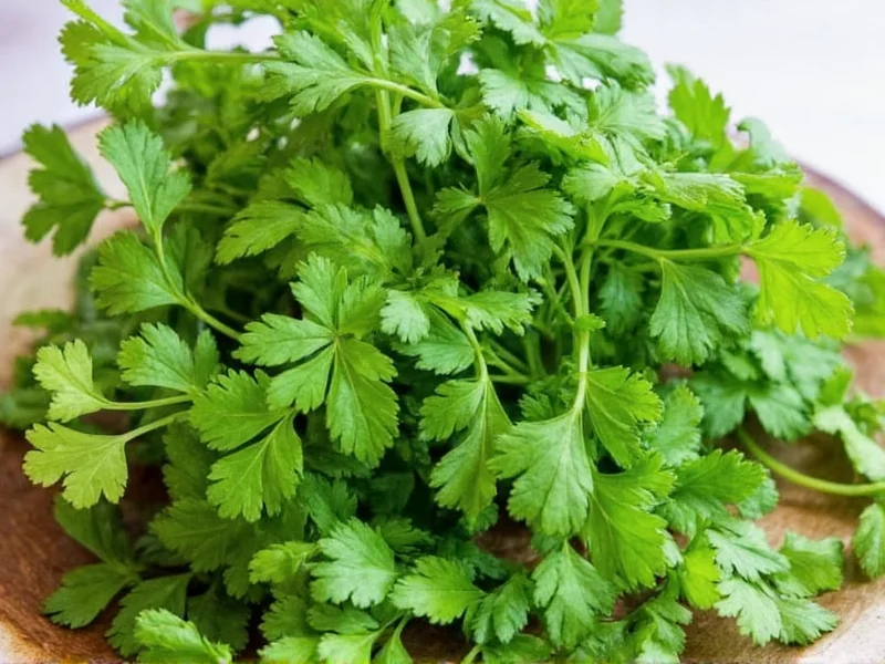 Cilantro vs Parsley: Key Differences Explained