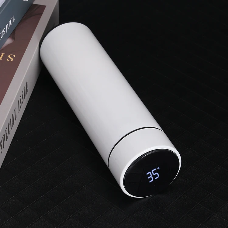 Stainless Steel Led Temperature Display Bottles Fahrenheit Degrees