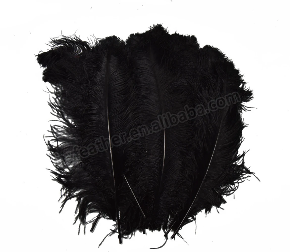 White Ostrich Wing Plumes Feather Ostrich Feather Sprime Femina Ostrich ...