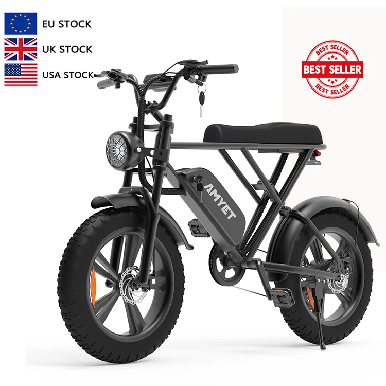 

Top quality Electric Mountain Bike 1000w ebike with 20inch Fat tire e bike bicicletta elettrica
