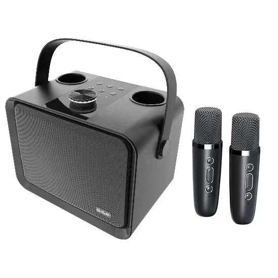 

QM1 Audio Sound Amplifier Outdoor Portable Karaoke TV Music Player Wireless Speakers-Bluetooth With Microphones For Kids Sing