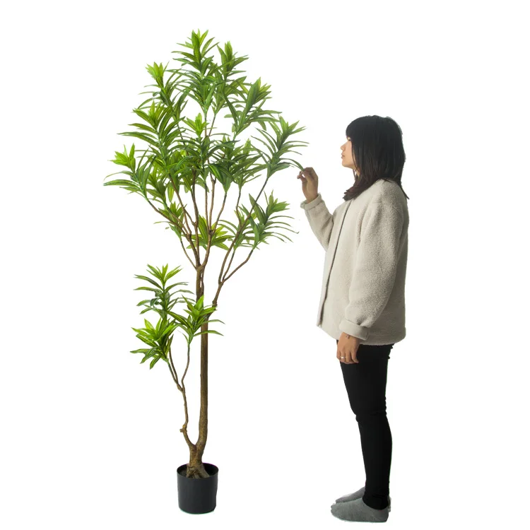

Zhejiang Plastic Cheap Indoor and Outdoor Decoration Artificial Lily Bamboo Tree Dracaena reflexa Artificial plant