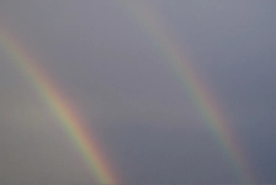 cinnamon rainbows webcam