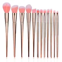 

2020 Must Have Cosmetic Tool Luxury Professional 12pcs Rose Gold Makeup Brush Set