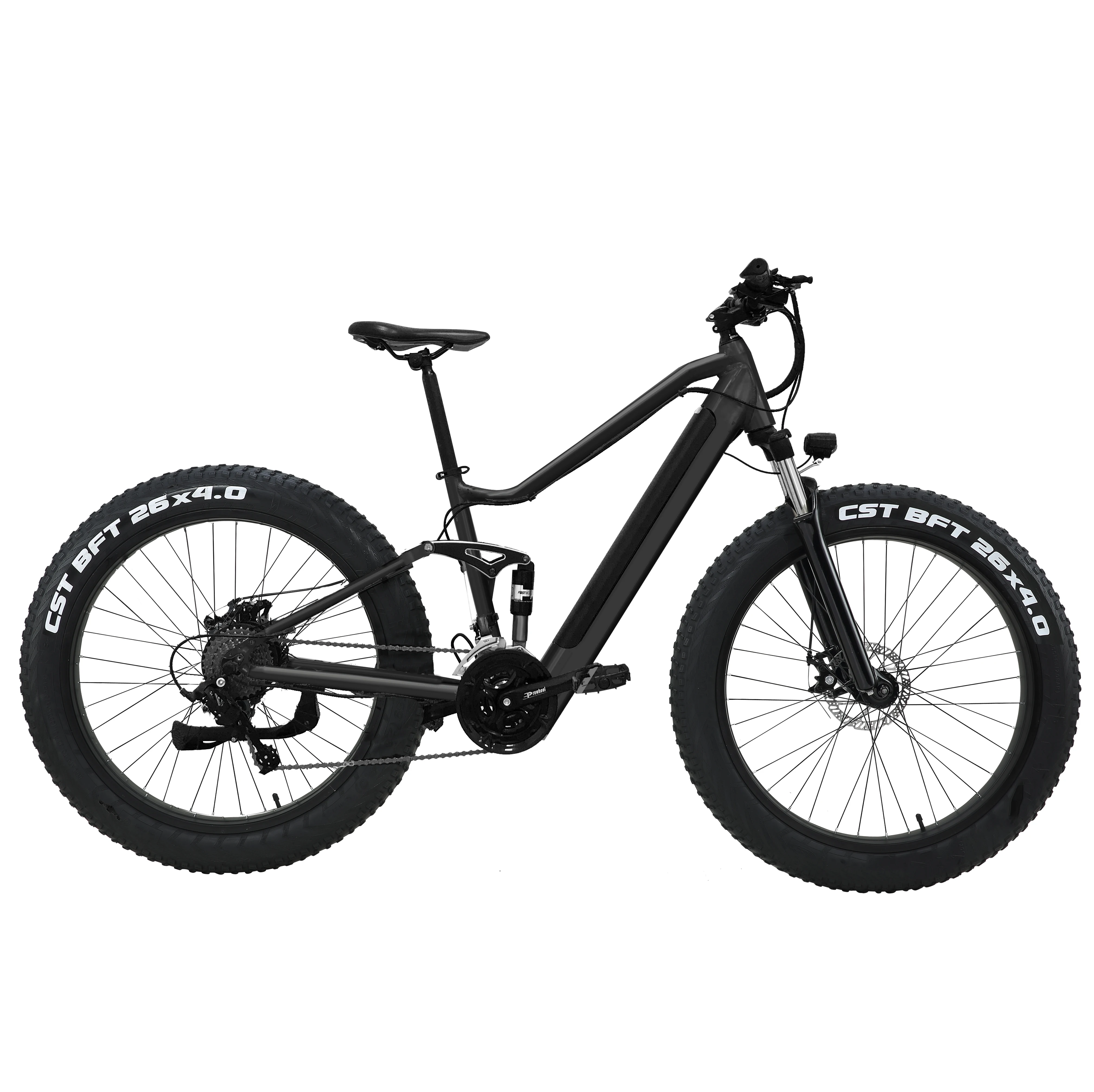 

High Quality Professional Electric Bicycle Full Suspension Ebike Mountain 500W 750W Fat Tire Electric Mountain Bike