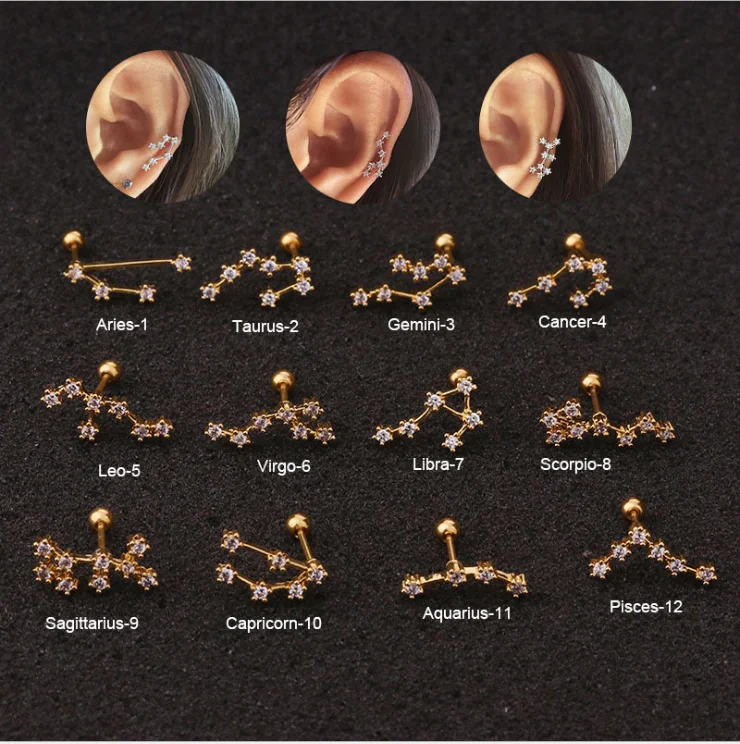 

new 12 signs of the zodiac design silver surgical steel ear tragus piercings cartilage earrings piercing jewelry, Silver/gold/ rose gold