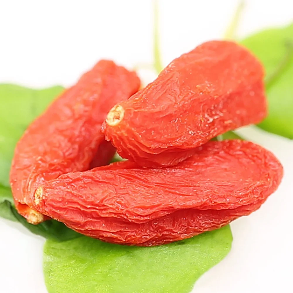 
High Quality 100% Pure Natural Fresh Dried Organic Chinese Wolfberry/ Lycium / Goji berry organic 